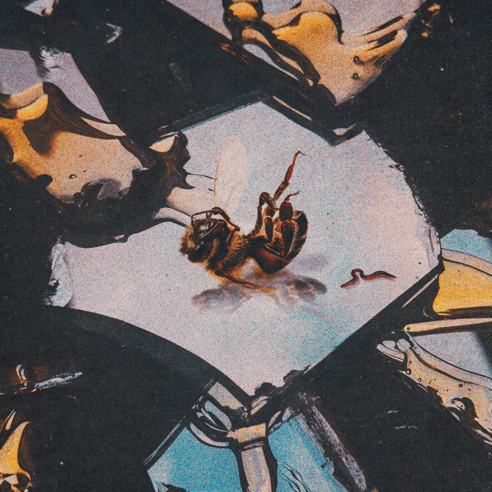 paroles Stain the Canvas