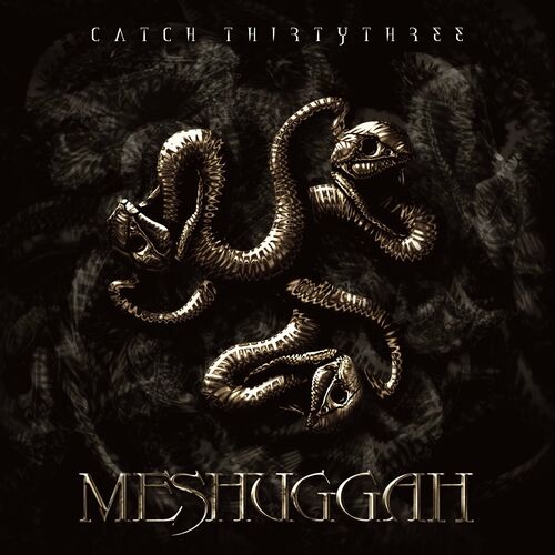 paroles Meshuggah Imprint Of The Un-saved