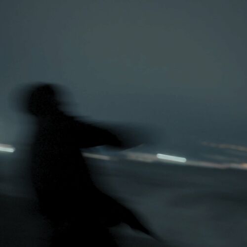 paroles L'oiseau Noir La chute