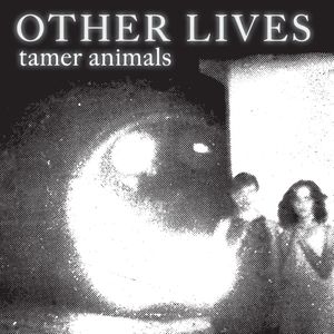 paroles Other Lives Tamer Animals