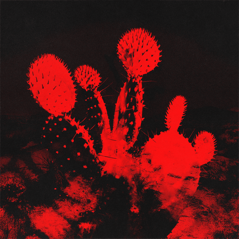 paroles Beach Weather