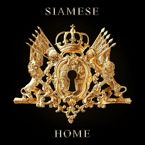 paroles Siamese Home  feat  Drew York 