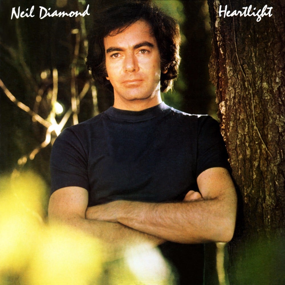 paroles Neil Diamond A Fool For You