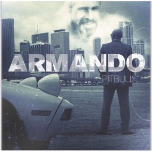 paroles Pitbull Esta Noche (DJ Antoine vs. Mad Mark & Clubzound Mix)