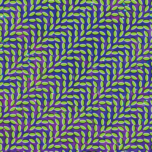 paroles Animal Collective Merriweather Post Pavilion