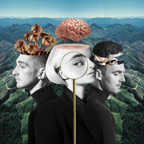 paroles Clean Bandit Out at Night