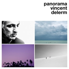 paroles Vincent Delerm Fernando De Noronha