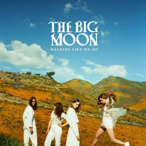 paroles The Big Moon Holy Roller