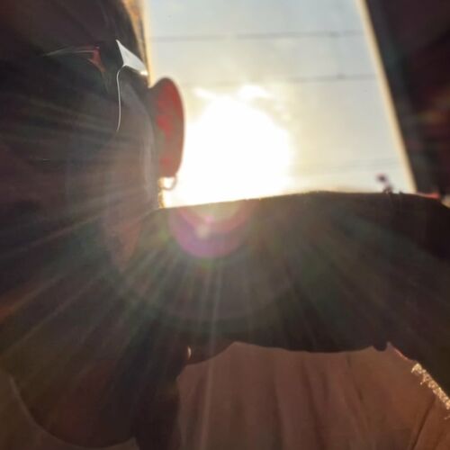 paroles L'oiseau Noir Partir