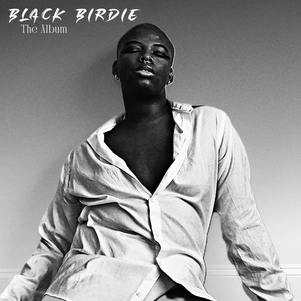 paroles Black Birdie