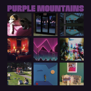 paroles Purple Mountains